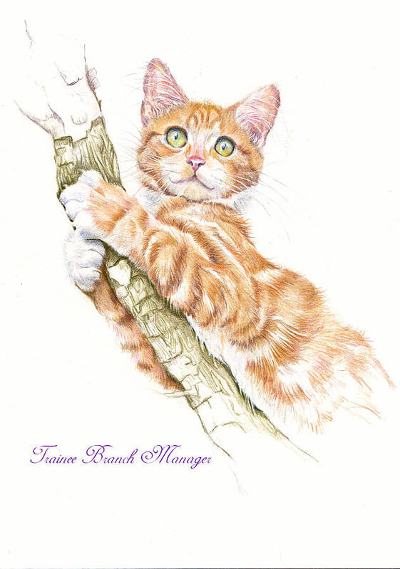 Cat Poster featuring the painting Trainee Branch Manager by Debra Hall