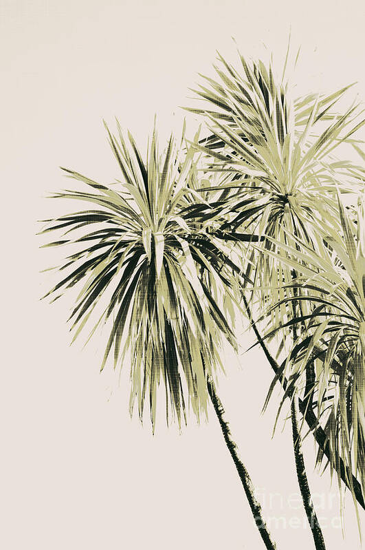 Photography Poster featuring the mixed media Tropical Palm Trees #1 #tropical #decor #art by Anitas and Bellas Art