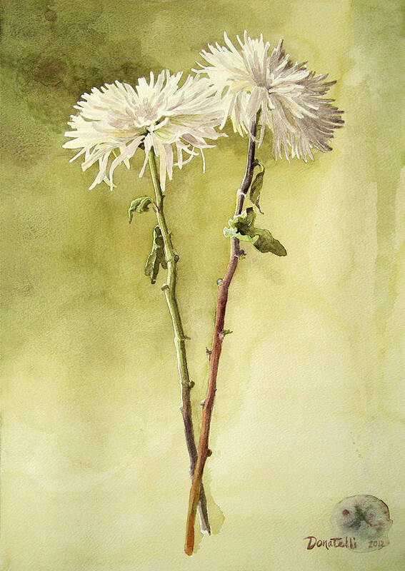 Botanicals Poster featuring the painting Two White Mums by Kathryn Donatelli