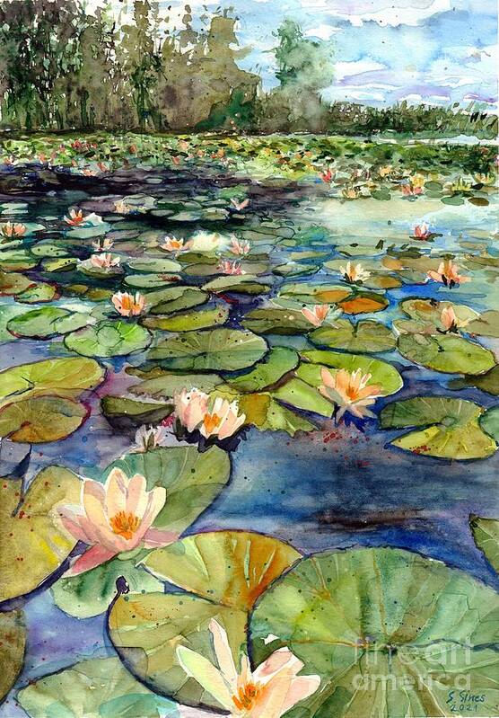 Water Lily Poster featuring the painting Water Lilies In The Afternoon by Suzann Sines