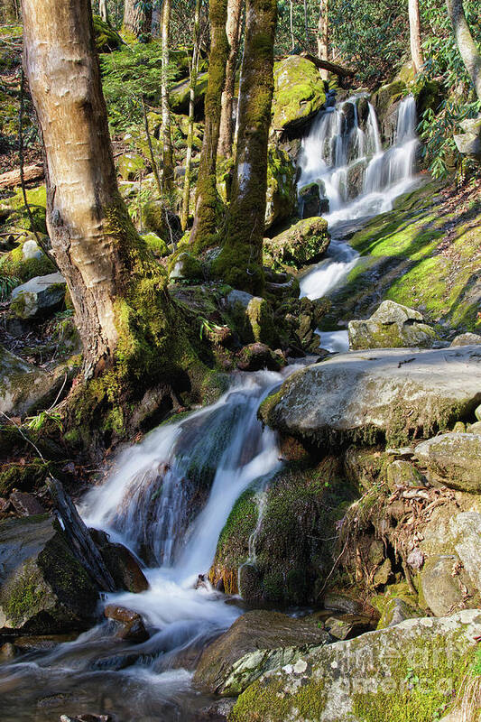Tennessee Poster featuring the photograph Waterfall In The Smokies by Phil Perkins