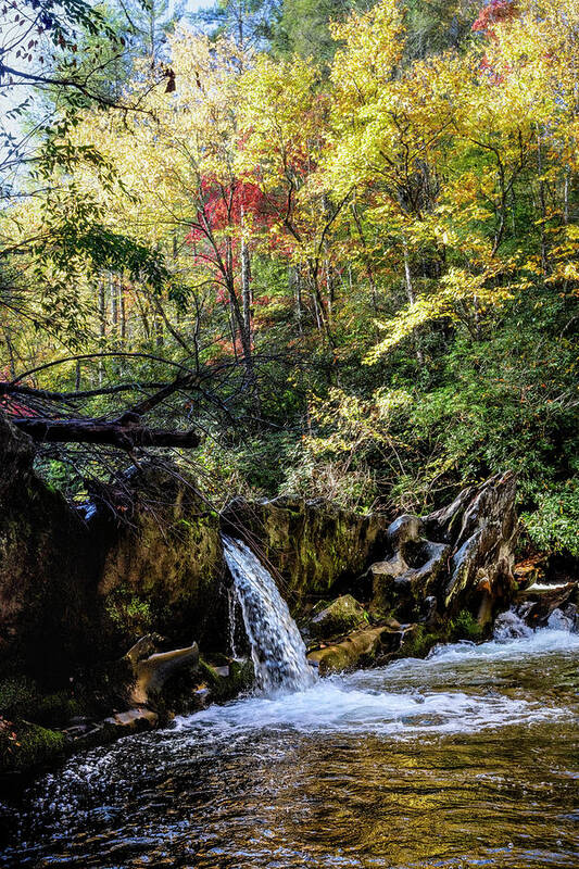 Carolina Poster featuring the photograph Waterfall in the Smoky Mountains Autumn by Debra and Dave Vanderlaan