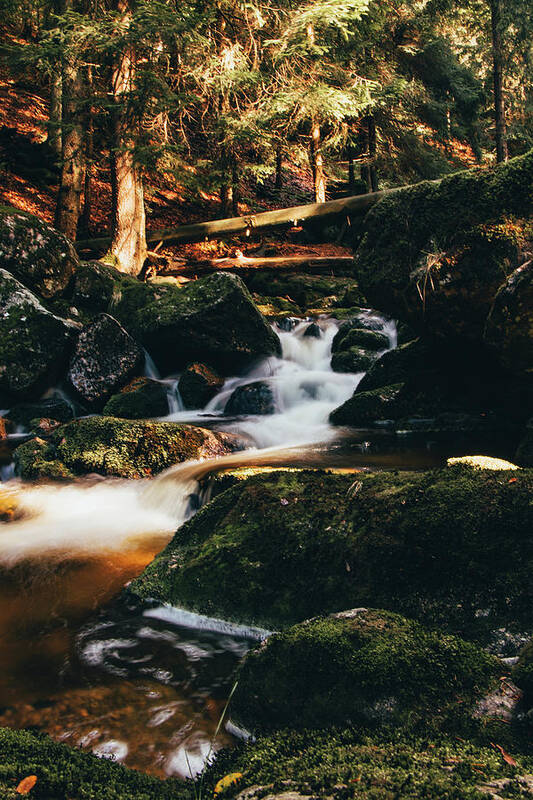 Jizera Mountains Poster featuring the photograph Sunny waterfall in the Jizera Mountains, Czech Republic by Vaclav Sonnek