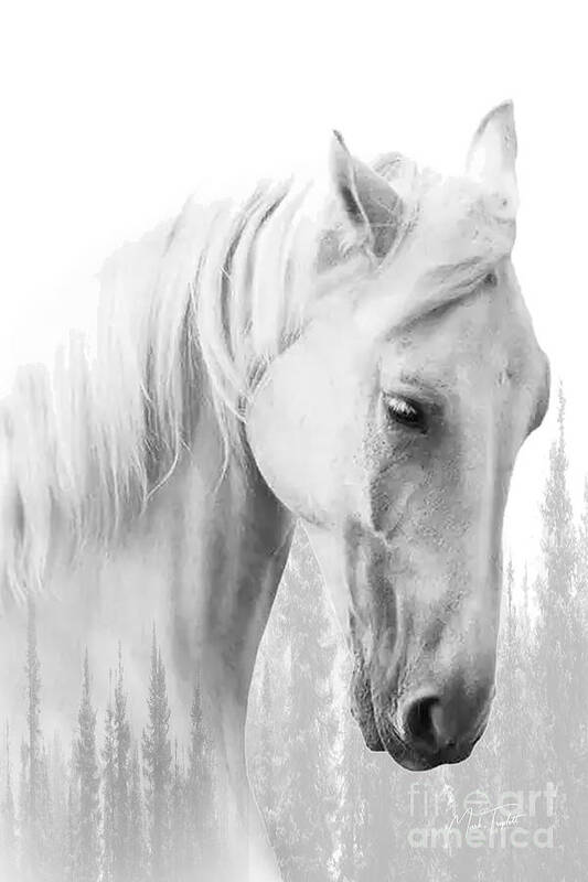 #love #white #horse #dreams #forest #nature #dreamy #ghostly #mystical #boreal #borealforest Poster featuring the photograph White Dreams by Mark Triplett