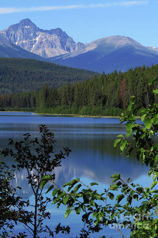 Banff Poster featuring the photograph Wilderness by Mary Mikawoz