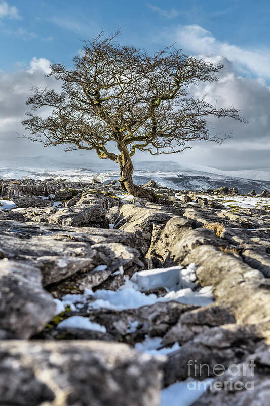 England Poster featuring the photograph Winskill Stones by Tom Holmes Photography