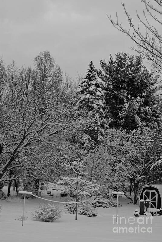 Landscape Photography Poster featuring the photograph Winter Clothesline - Black and White by Frank J Casella