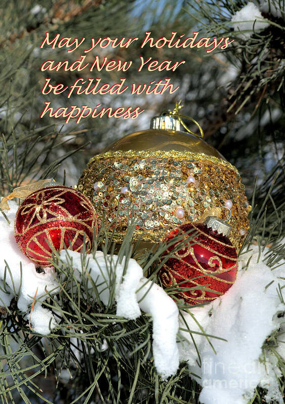 Holiday Greeting Poster featuring the photograph Winter Greeting Card by Kae Cheatham