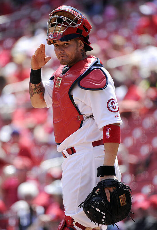 St. Louis Cardinals Poster featuring the photograph Yadier Molina by Ron Vesely