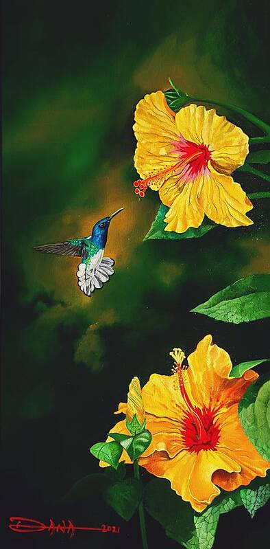 Birds Poster featuring the painting White Necked Jacobin and Yellow Hibiscus by Dana Newman