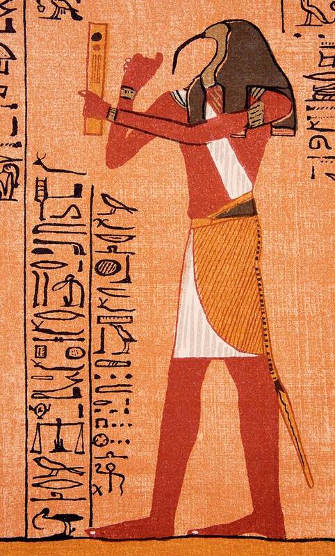 Thoth Poster featuring the photograph The Egyptian Deity Thoth #1 by Sheila Terry