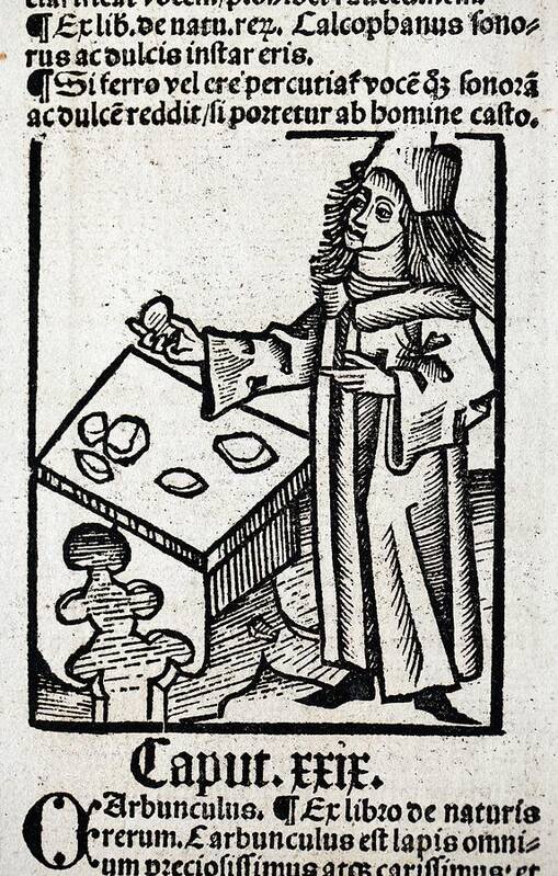 15th Century Poster featuring the photograph 1491 Medieval Apothecary Hortus Sanitatis by Paul D Stewart