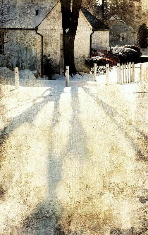 Winter Landscape Poster featuring the photograph Backyard by Diana Angstadt