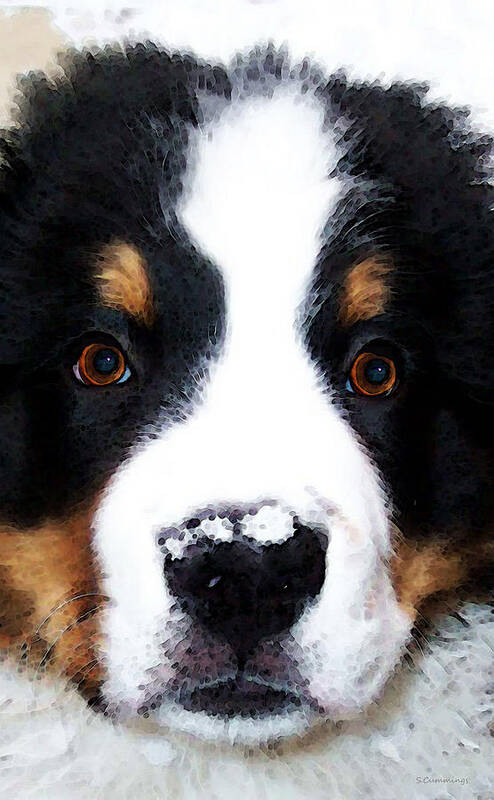 Bernese Mountain Dog Poster featuring the painting Bernese Mountain Dog - Baby It's Cold Outside by Sharon Cummings