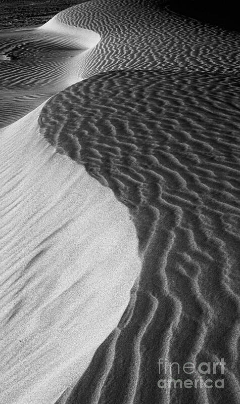 Death Valley Poster featuring the photograph Death Valley Sand Dunes by Jim And Emily Bush