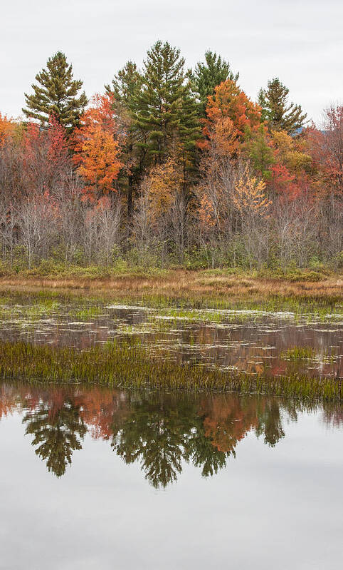 Karen Stephenson Photography Poster featuring the photograph Fall Trees Reflected in Lake Chocorua by Karen Stephenson