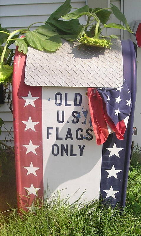  Poster featuring the photograph Flags Only by Roger Swezey