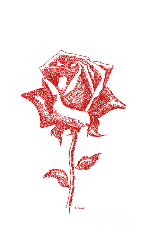 Rose Poster featuring the drawing iPhone-Case-Flower-Rose2 by Gordon Punt