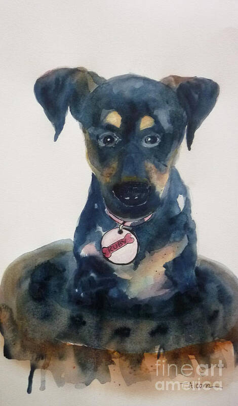 Pup Poster featuring the painting Ruby - original SOLD by Therese Alcorn