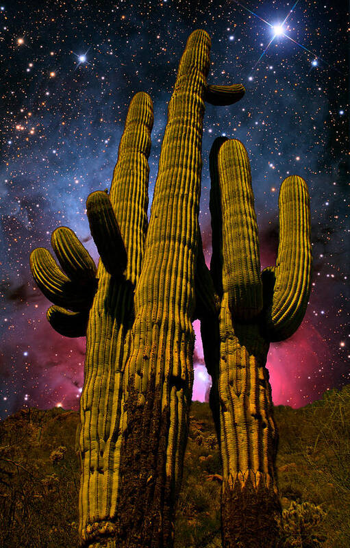 Universe Photographs Poster featuring the photograph Saguaro Brothers Galaxy by Nick Kanihan
