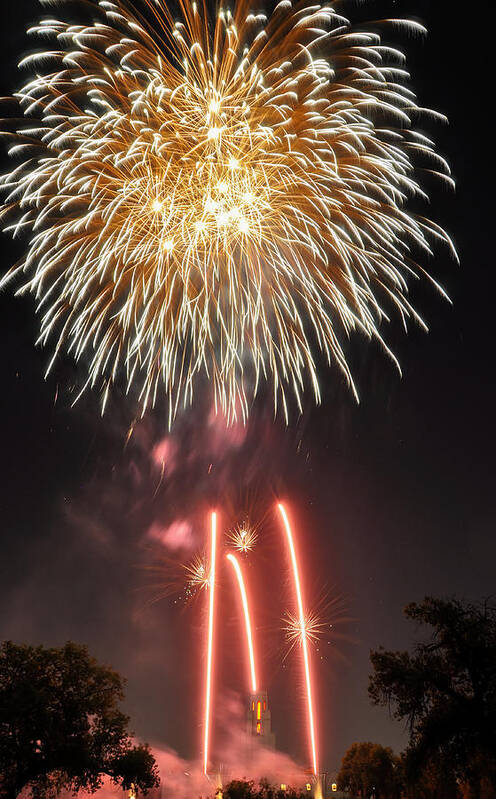 Fireworks Poster featuring the photograph Shades of Gold Explode by Kevin Munro