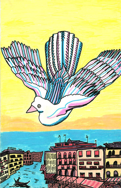 Venice Poster featuring the drawing Venice Seagull by Don Koester