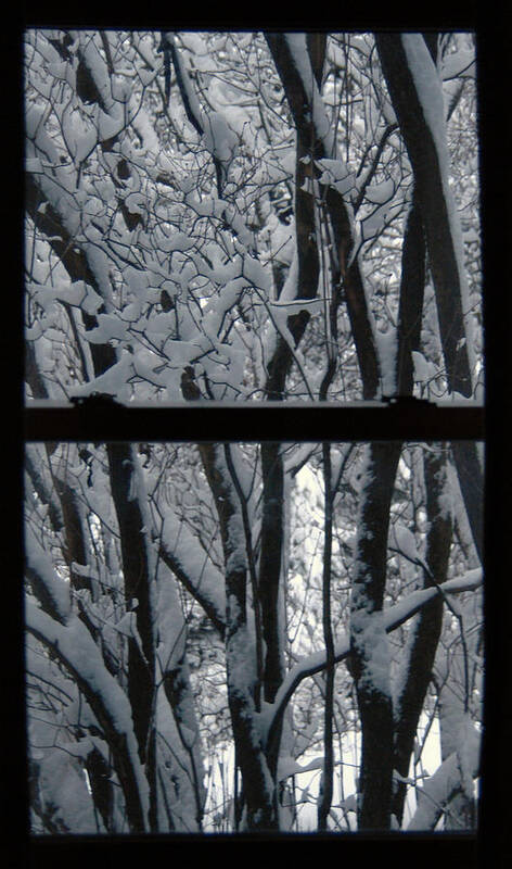 Window Poster featuring the photograph Winter Window by Wesley Elsberry