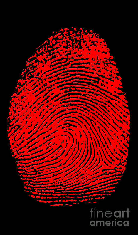 Thumbprint Poster featuring the photograph Thumbprint #2 by Science Source
