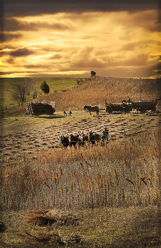 Sundown Poster featuring the photograph Farming to beat the storm by Randall Branham