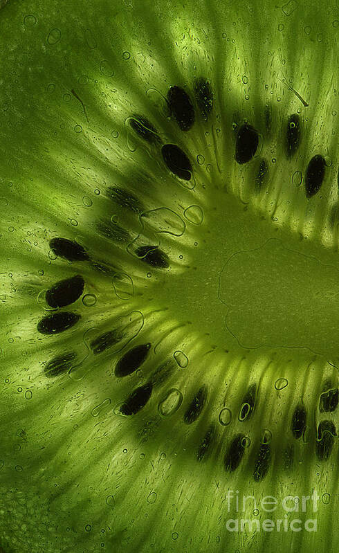 Kiwi Poster featuring the photograph Macro Kiwi Slice by Janeen Wassink Searles