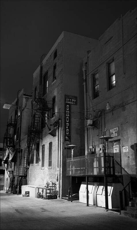 Alley Poster featuring the photograph Night In The Alley by James Bethanis