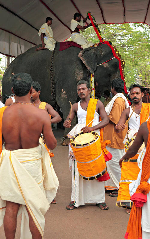 Elephant Poster featuring the photograph Temple elephant and drummers by Paul Cowan