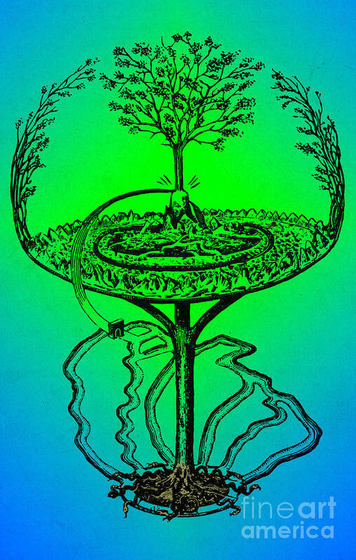 Mythology Poster featuring the photograph Yggdrasil From Norse Mythology by Photo Researchers