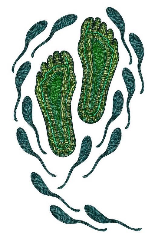 Aboriginal Feet Poster featuring the digital art Aboriginal Footprints Green Transparent Background by Barbara St Jean