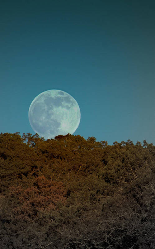 Moon Poster featuring the photograph Blue Moon Risign by Karen Musick
