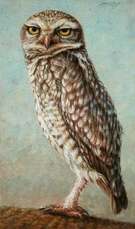Owl Poster featuring the painting Burrowing Owl by James W Johnson