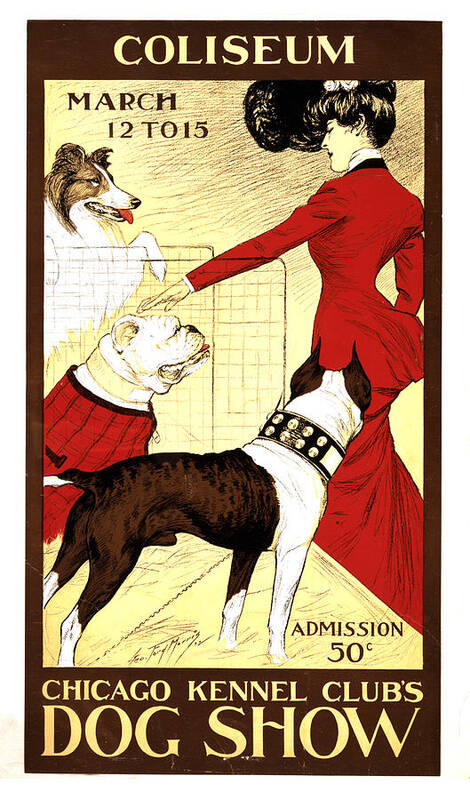 Chicago Poster featuring the mixed media Chicago Kennel Club's Dog Show - Vintage Advertising Poster by Studio Grafiikka
