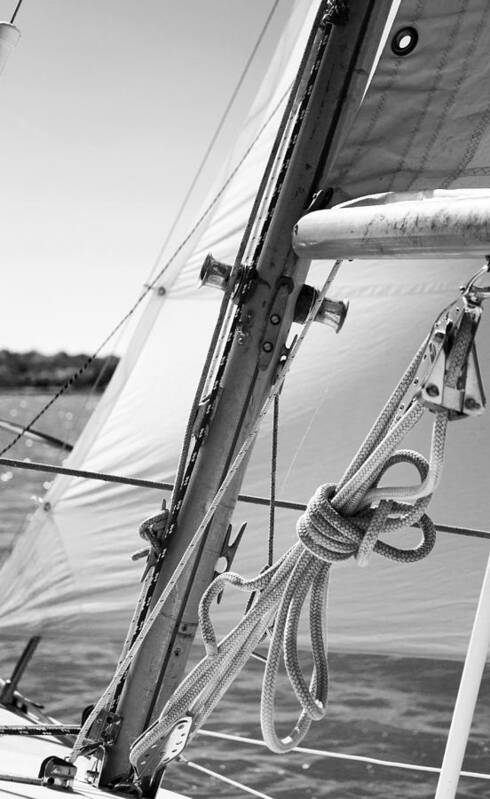 Sail Poster featuring the photograph Close-hauled by Jeff Mize