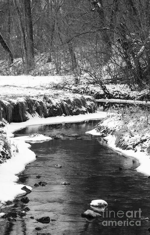 Creek Poster featuring the photograph Creek In The Woods In Winter by Tamara Becker