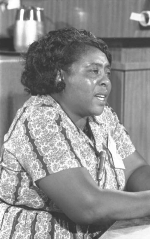 History Poster featuring the photograph Fannie Lou Hamer 1917-1977 by Everett