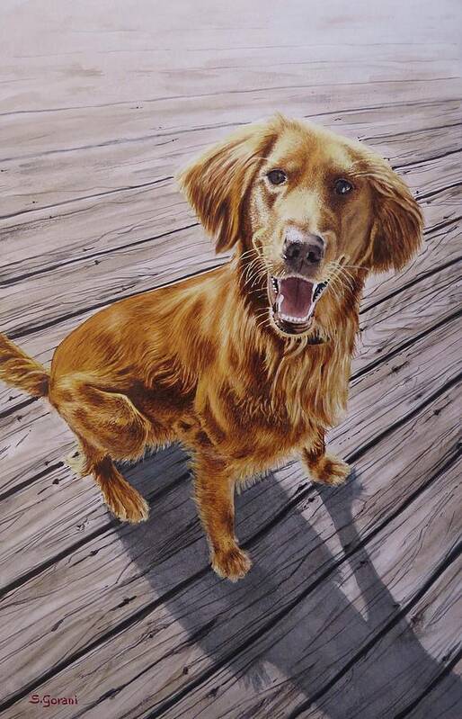 Painting Poster featuring the painting Golden Retriever by Geni Gorani