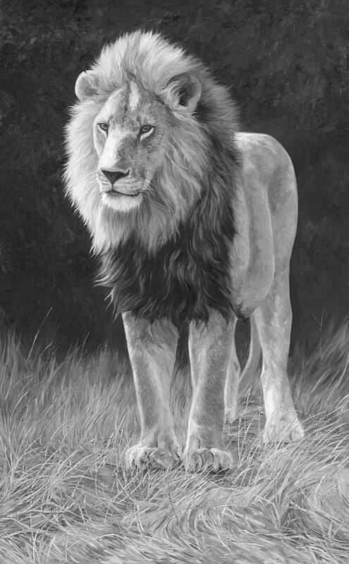 Lion Poster featuring the painting In His Prime - Black and White by Lucie Bilodeau