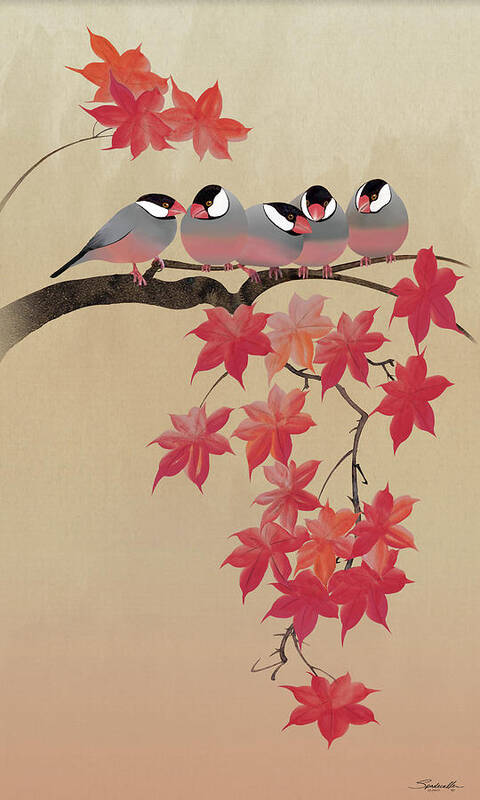 Bird Poster featuring the digital art Java Sparrows in Japanese Maple Tree by M Spadecaller