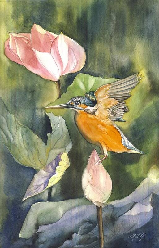 Kingfisher Poster featuring the painting Kingfisher with lotus by Alfred Ng