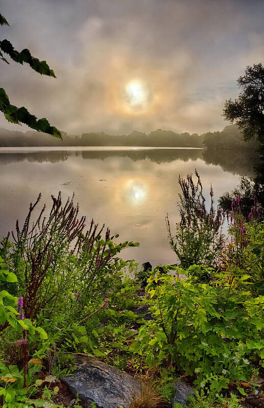 Landscape Poster featuring the photograph Lake Pentucket Sunrise, Haverhill, MA by Betty Denise