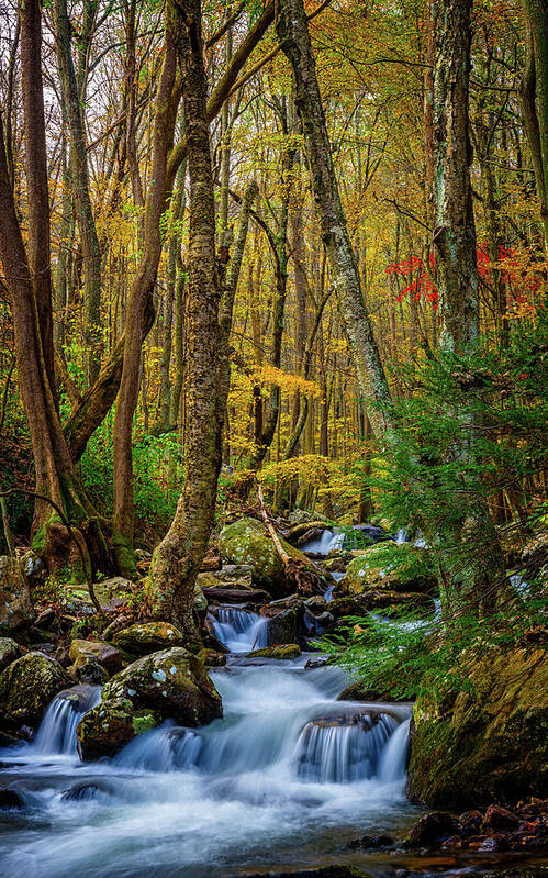 Landscape Poster featuring the photograph Mill Creek in Fall #1 by Joe Shrader