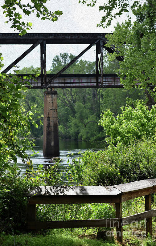 Plants Poster featuring the photograph Painted Congaree Four by Skip Willits