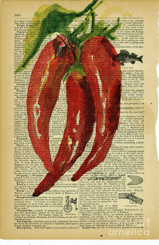 Red Peppers Poster featuring the painting Peppers from the Garden by Maria Hunt