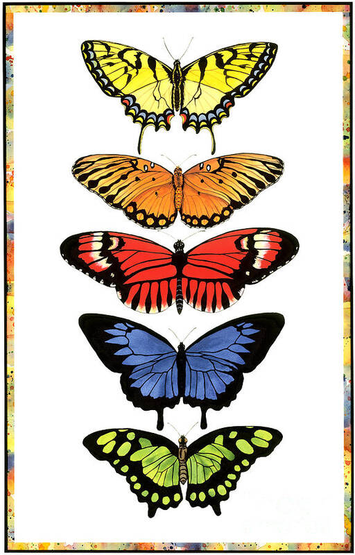 Butterflies Poster featuring the painting Rainbow Butterflies by Lucy Arnold