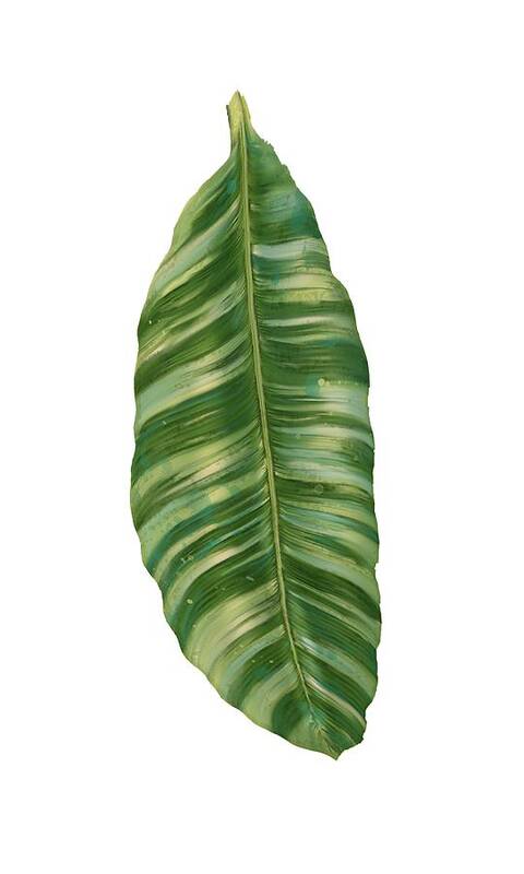 Tropical Poster featuring the painting Rainforest Resort - Tropical Banana Leaf by Audrey Jeanne Roberts
